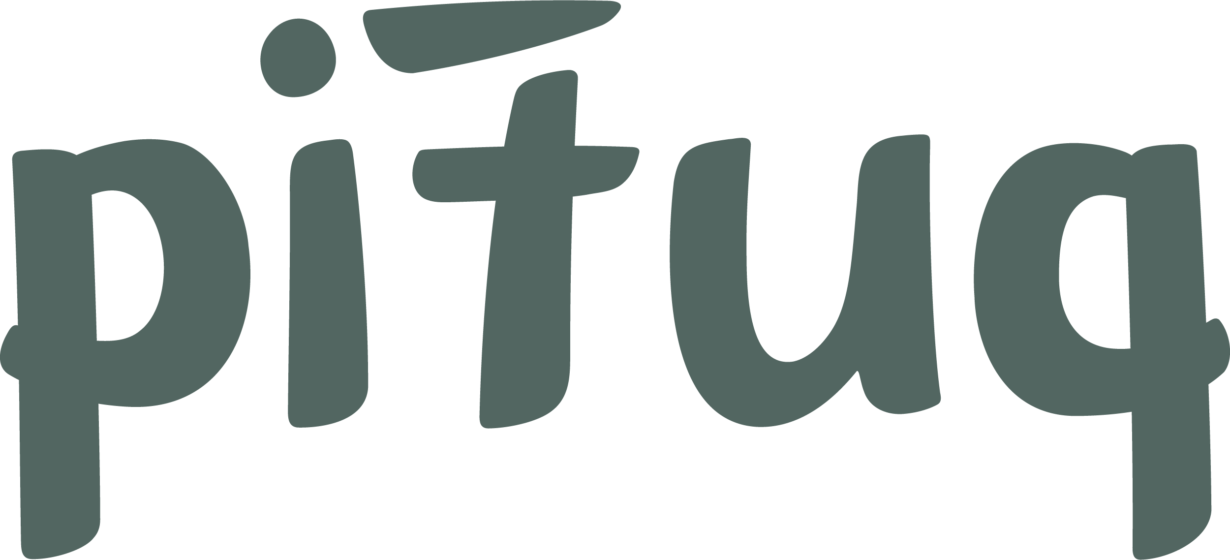 Pituq